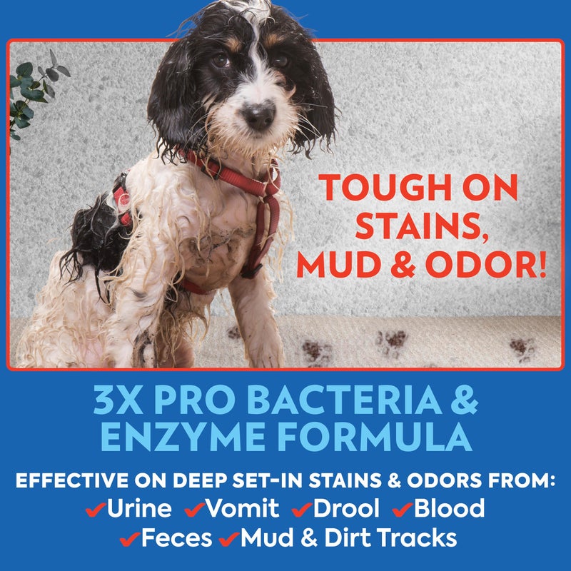 OUT! PetCare Pet Odor & Stain Remover Spray, Carpet & Floor Cleaner, Deodorizer for Dogs & Cats, Made in USA, 32 fl oz (2 Pack) - Image 3